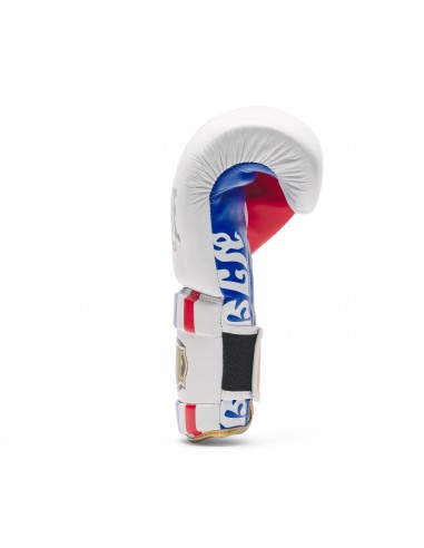 MuyaThai Boxing Gloves - Leone Thai Style buy online