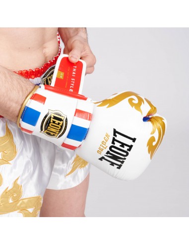 MuyaThai Boxing Gloves - Leone Thai Style buy online