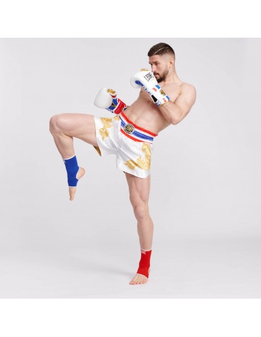 MuyaThai Gants de boxe - Leone Thai Style acheter en ligne