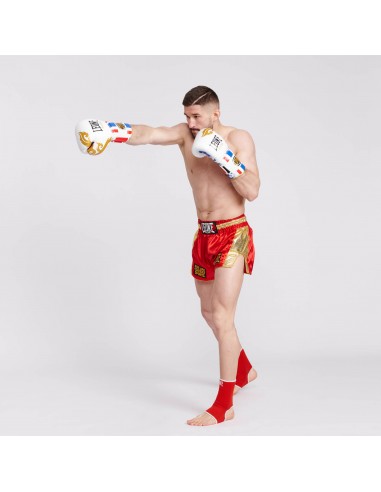 MuyaThai Gants de boxe - Leone Thai Style acheter en ligne