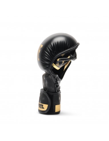 Leone Sparring MMA Handschuhe DNA GP144