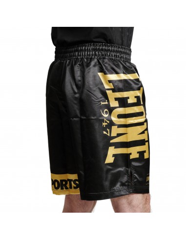 MMA Pants - DNA Leone acquista nel negozio online svizzero