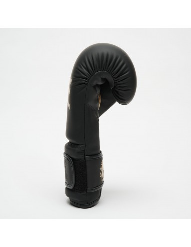 Leone1947 Buy Boxing Gloves Black Edition in the swiss online shop