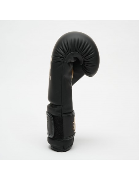Leone1947 Buy Boxing Gloves Black Edition in the swiss online shop