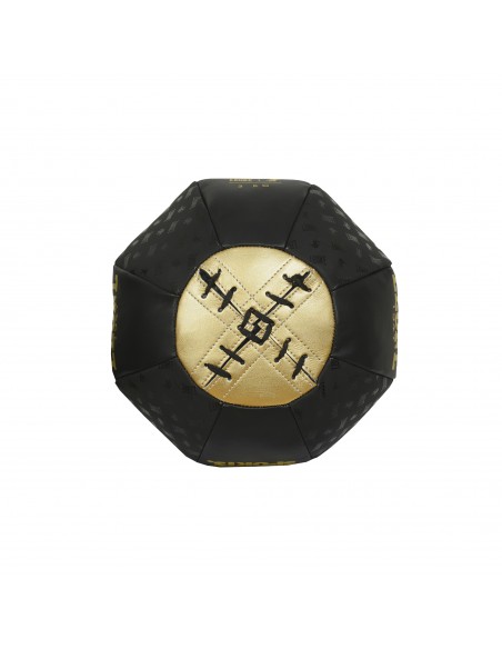 Leone Boxbirne 3 kg AT851