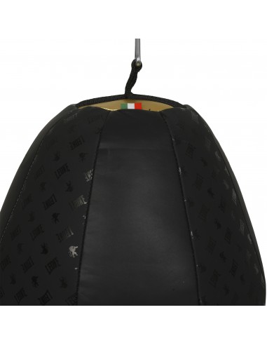 Leone Boxbirne 3 kg AT851