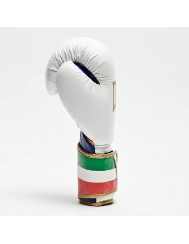 Comfort and protection: Italy boxing gloves in white - Leone1947