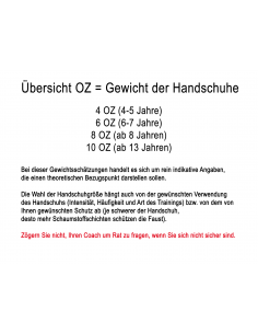 Acheter des gants de boxe pour enfants Hero - Leone1947 dans la boutique en ligne suisse 2