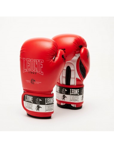Scopri subito i guantoni da boxe Leone Iconic per bambini