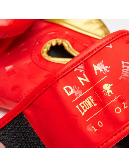 Achetez des gants de boxe Leone DNA rouges dans la boutique en ligne suisse