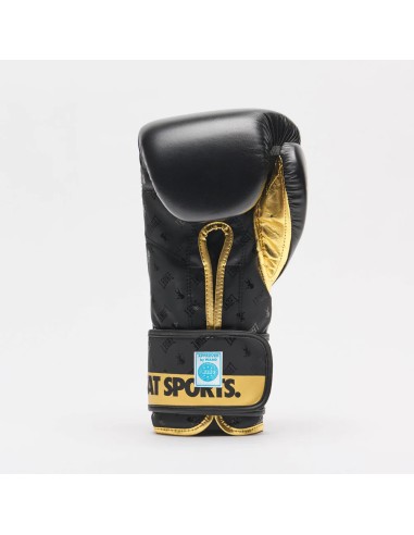Gants de boxe WAKO par Leone : Élégants et robustes sur le ring