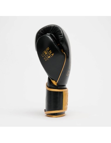 Leone DNA Premium Boxhandschuhe GN002 Schwarz