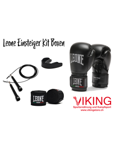 Kit Leone per principianti: perfetto per i principianti della boxe compra