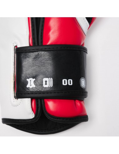 Boxing gloves Leone1947 - Il Tecnico N3 buy online