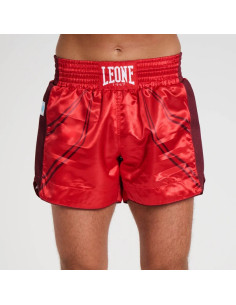 Leone WAKO Kick Shorts AB996 | Kickboxhose 2