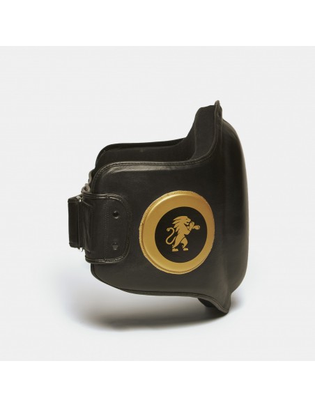 Leone1947 Acquista lo scudo per la pancia - Linea elettrica nel nostro Vikingstore