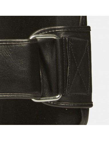 Acheter Plaque ventrale - Power Line de Leone1947 chez Vikingstore