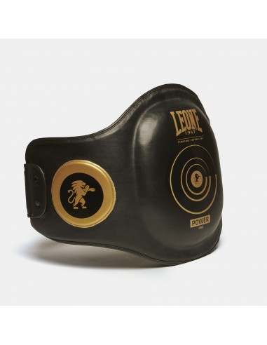 Leone1947 Acquista lo scudo per la pancia - Linea elettrica nel nostro Vikingstore