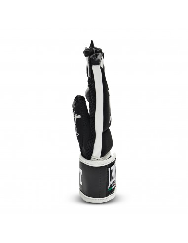Fit Box Gloves for Fitness Boxing and Karate | Vikingstore Switzerland