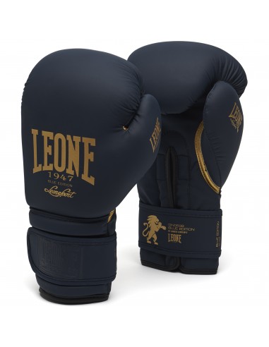 Leone boxing gloves Blue Edition: Perfect for boxing & Muay Thai!