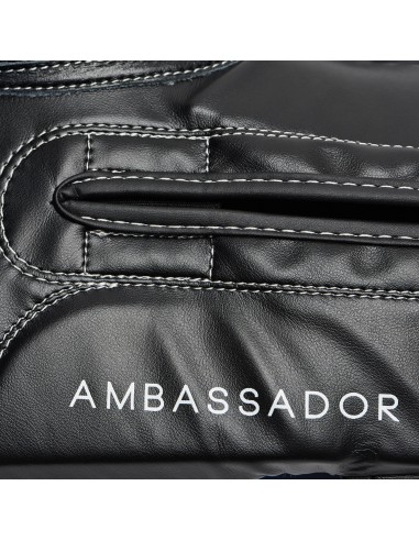Red Leone Ambassador GN207 boxing gloves: Your new partner in the ring!