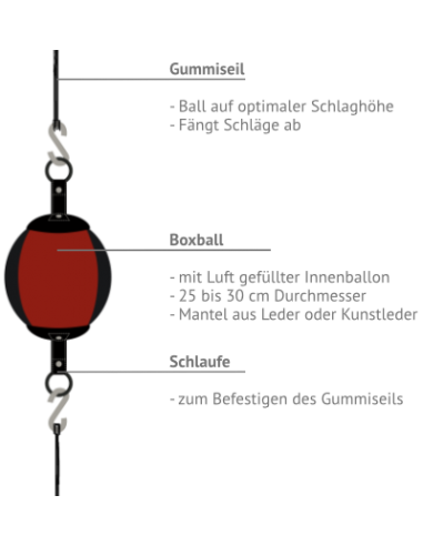 Leone1947 Palla di cuoio a doppia estremità - acquista nel negozio online della Svizzera
